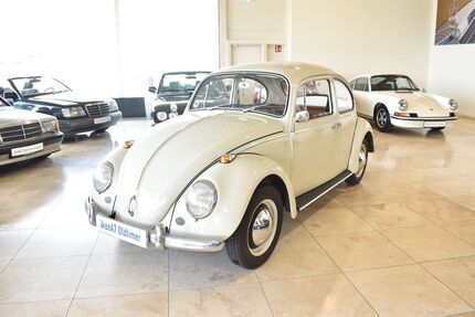VW Käfer Gebrauchtwagen