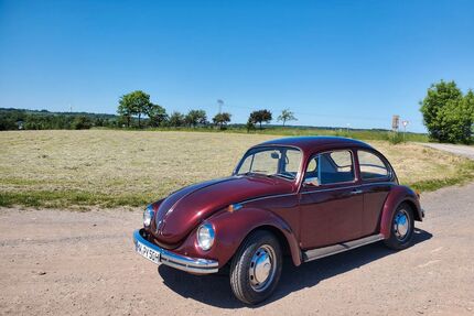 VW Käfer Gebrauchtwagen