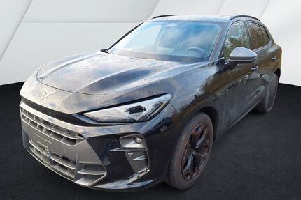 Cupra Terramar Gebrauchtwagen