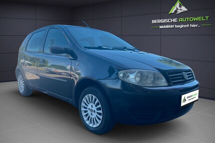 Fiat Punto Gebrauchtwagen