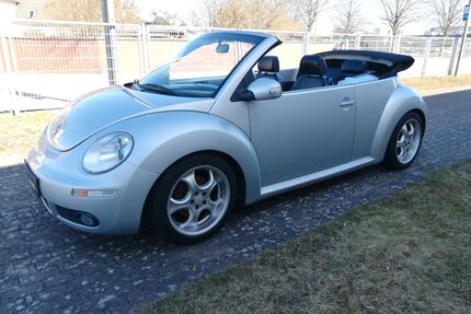 VW Beetle Gebrauchtwagen