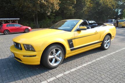Ford Mustang Gebrauchtwagen