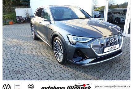 Audi e-tron Gebrauchtwagen