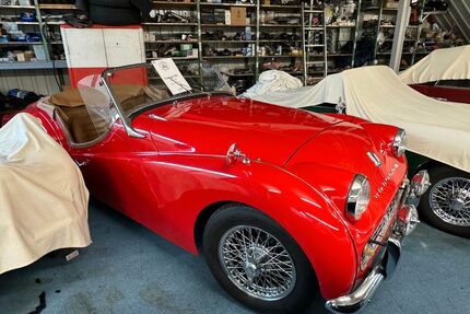 Triumph TR3 Gebrauchtwagen