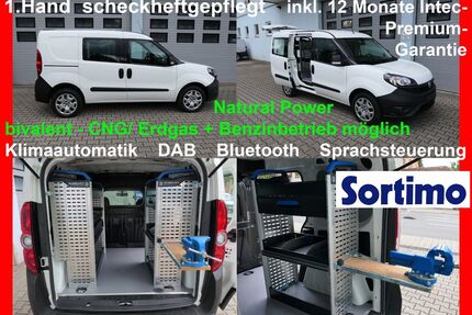 Fiat Doblo Gebrauchtwagen