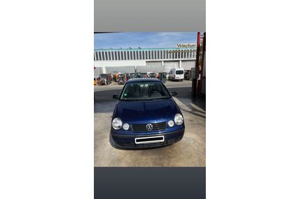 VW Polo Gebrauchtwagen
