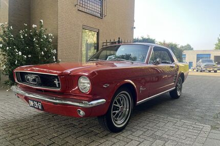 Ford Mustang Gebrauchtwagen