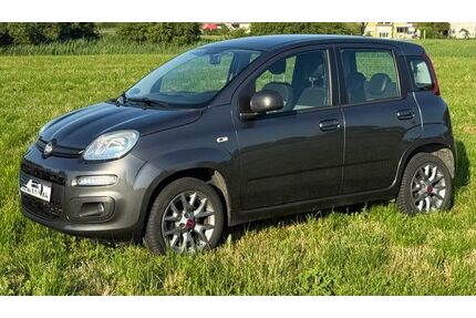Fiat New Panda Gebrauchtwagen