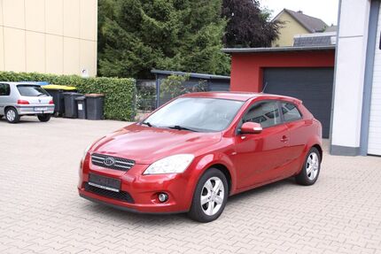 Kia ceed / Ceed Gebrauchtwagen