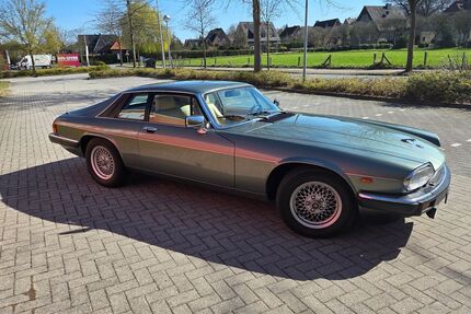 Jaguar XJS Gebrauchtwagen