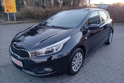 Kia ceed / Ceed Gebrauchtwagen