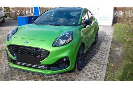 Ford Puma Gebrauchtwagen