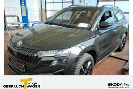 Skoda Karoq Gebrauchtwagen
