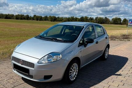 Fiat Punto Gebrauchtwagen