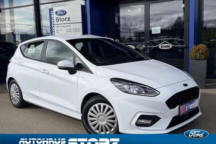 Ford Fiesta Gebrauchtwagen