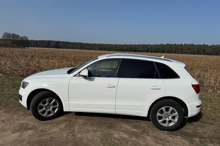 Audi Q5 Gebrauchtwagen