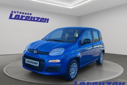 Fiat Panda Gebrauchtwagen