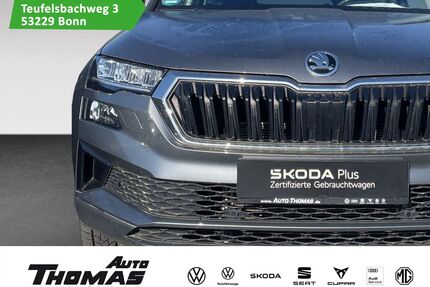 Skoda Karoq Gebrauchtwagen