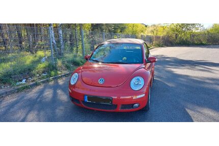 VW New Beetle Gebrauchtwagen
