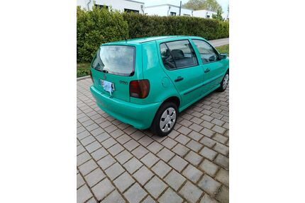 VW Polo Gebrauchtwagen