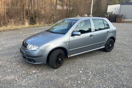 Skoda Fabia Gebrauchtwagen