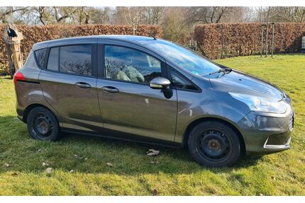 Ford B-Max Gebrauchtwagen