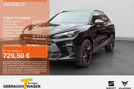 Cupra Terramar Gebrauchtwagen