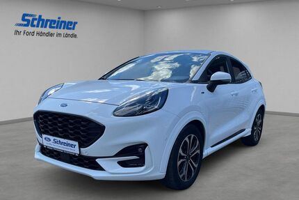 Ford Puma Gebrauchtwagen