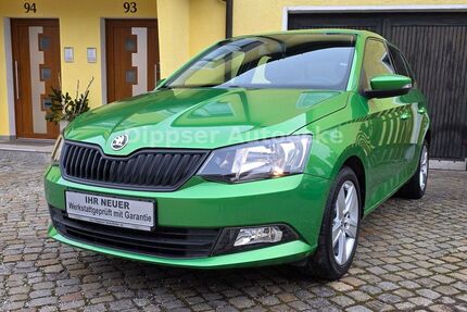 Skoda Fabia Gebrauchtwagen