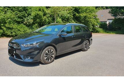Kia ceed / Ceed Gebrauchtwagen