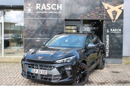 Cupra Terramar Gebrauchtwagen