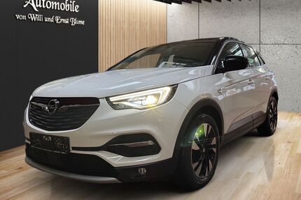 Opel Grandland (X) Gebrauchtwagen