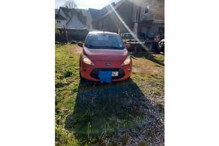 Ford Ka/Ka+ Gebrauchtwagen