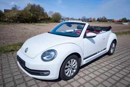 VW Beetle Gebrauchtwagen