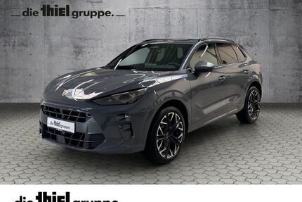 Cupra Terramar Gebrauchtwagen