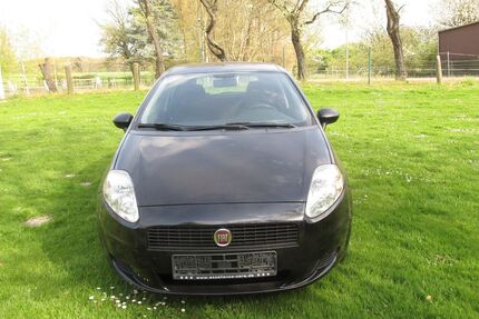 Fiat Punto Gebrauchtwagen