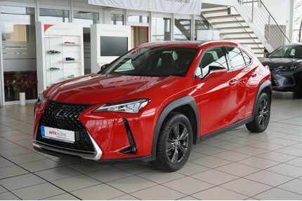 Lexus UX Gebrauchtwagen