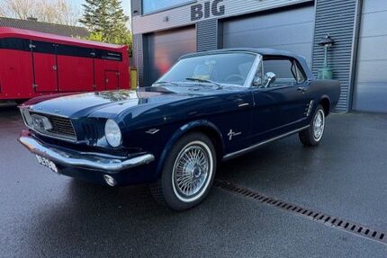 Ford Mustang Gebrauchtwagen