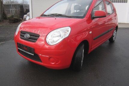 Kia Picanto Gebrauchtwagen