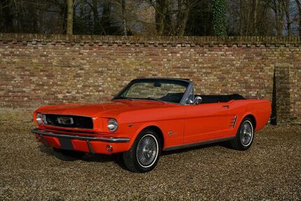 Ford Mustang Gebrauchtwagen