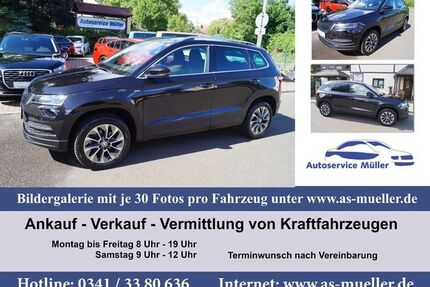 Skoda Karoq Gebrauchtwagen