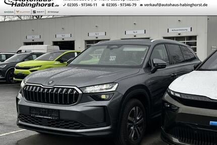 Skoda Kodiaq Gebrauchtwagen