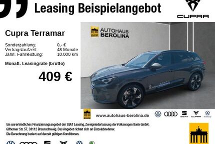 Cupra Terramar Gebrauchtwagen