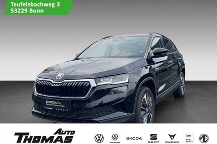 Skoda Karoq Gebrauchtwagen