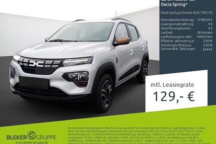 Dacia Spring Gebrauchtwagen