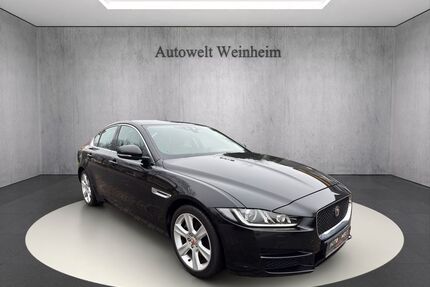 Jaguar XE Gebrauchtwagen