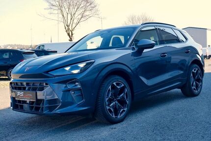 Cupra Terramar Gebrauchtwagen