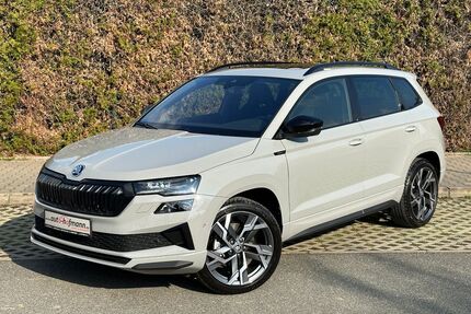 Skoda Karoq Gebrauchtwagen