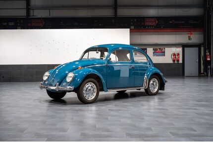 VW Käfer Gebrauchtwagen