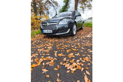 Opel Insignia Gebrauchtwagen